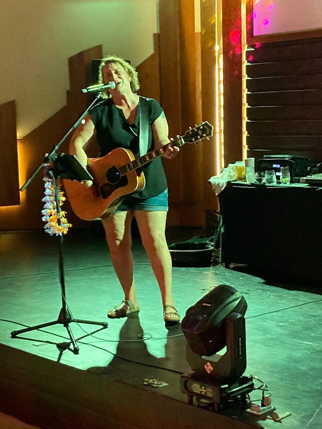 Lisa performing on stage